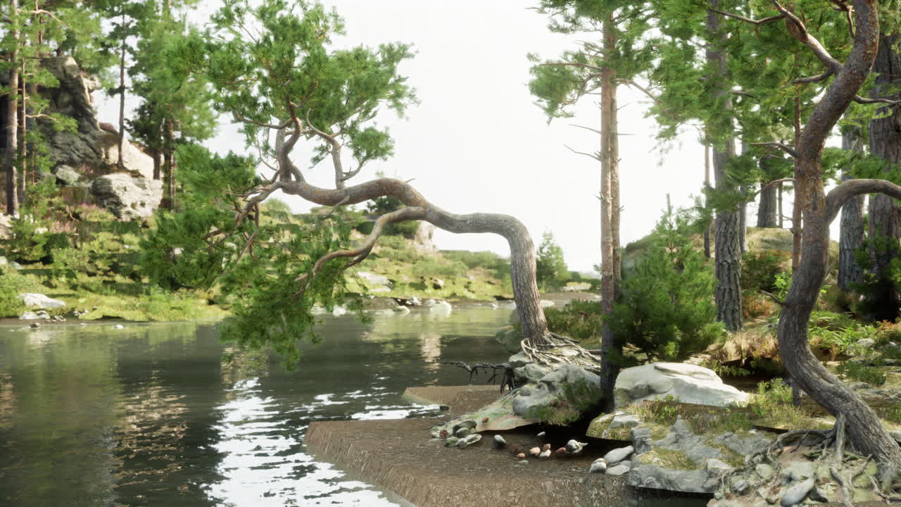 평화로운 숲 호수