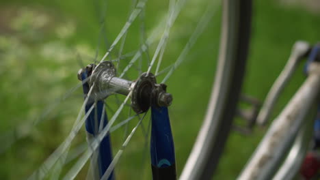 close-up of bicycle placed upside down, focusing on the wheel's hub and spokes as the wheel rotates, the background, filled with greenery, is softly blurred