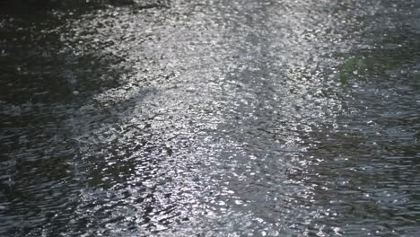 heavy rain, raindrops on the surface of the river with an irregular pattern