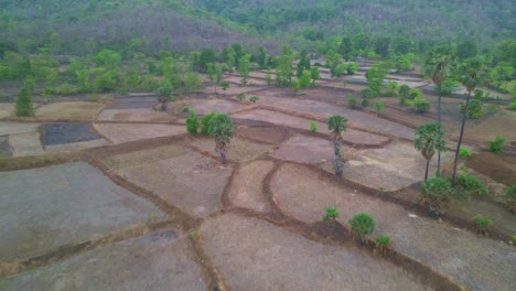 Aerial-view-of-terraces-fields-in-countryside-or-rural-area-near-Tansa-river-Shiravli-Maharashtra,-India-4K