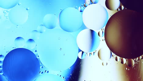 real abstract colourful oil drops in water rotation with color gradient mixing background