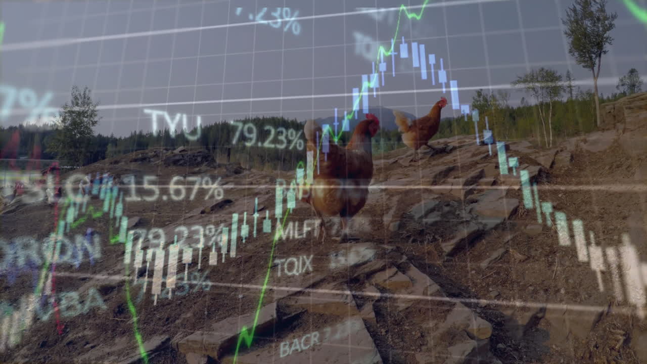 Brown chickens walking on rocky clearing under translucent stock grid lines and candlestick charts