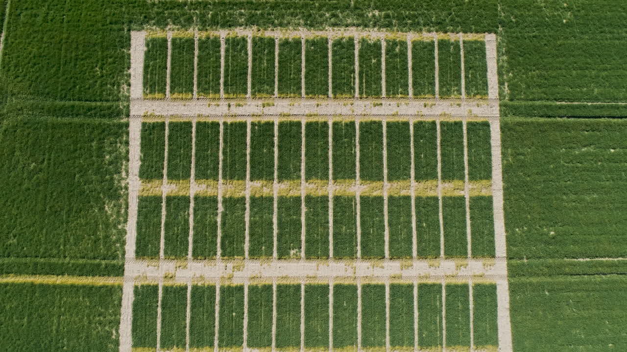 Aerial View of Green Agricultural Research Plots