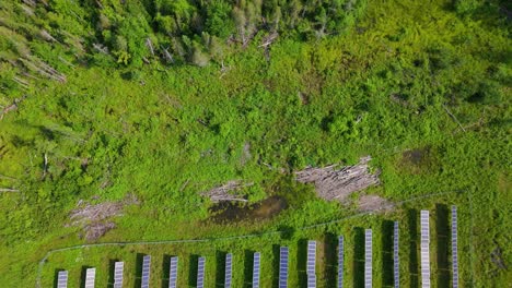 top down birds eye aerial shot of panels in a solar farm surrounded by forest in muskoka, canada.