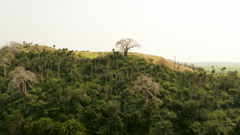 Viajando-Frente-A-Un-Humedal,-Sabana-Africana,-Drone-4k,-Angola,-áfrica-1