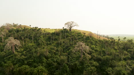 traveling front in a wetland, african savanna, 4k drone, angola, africa 1