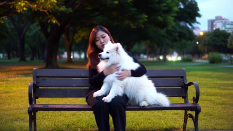 a heartwarming scene of a woman and her adorable samoyed dog on a park bench during twilight, captured in two frames of serene togetherness