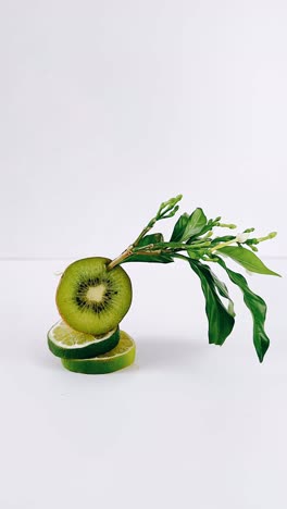 kiwi and lime slices with floral branch
