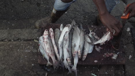 Toma-Superior-De-Las-Manos-De-Un-Hombre-De-Color-Limpiando-Pescado-En-Un-Mercado-De-Pescado-Callejero-En-Buenaventura,-Colombia