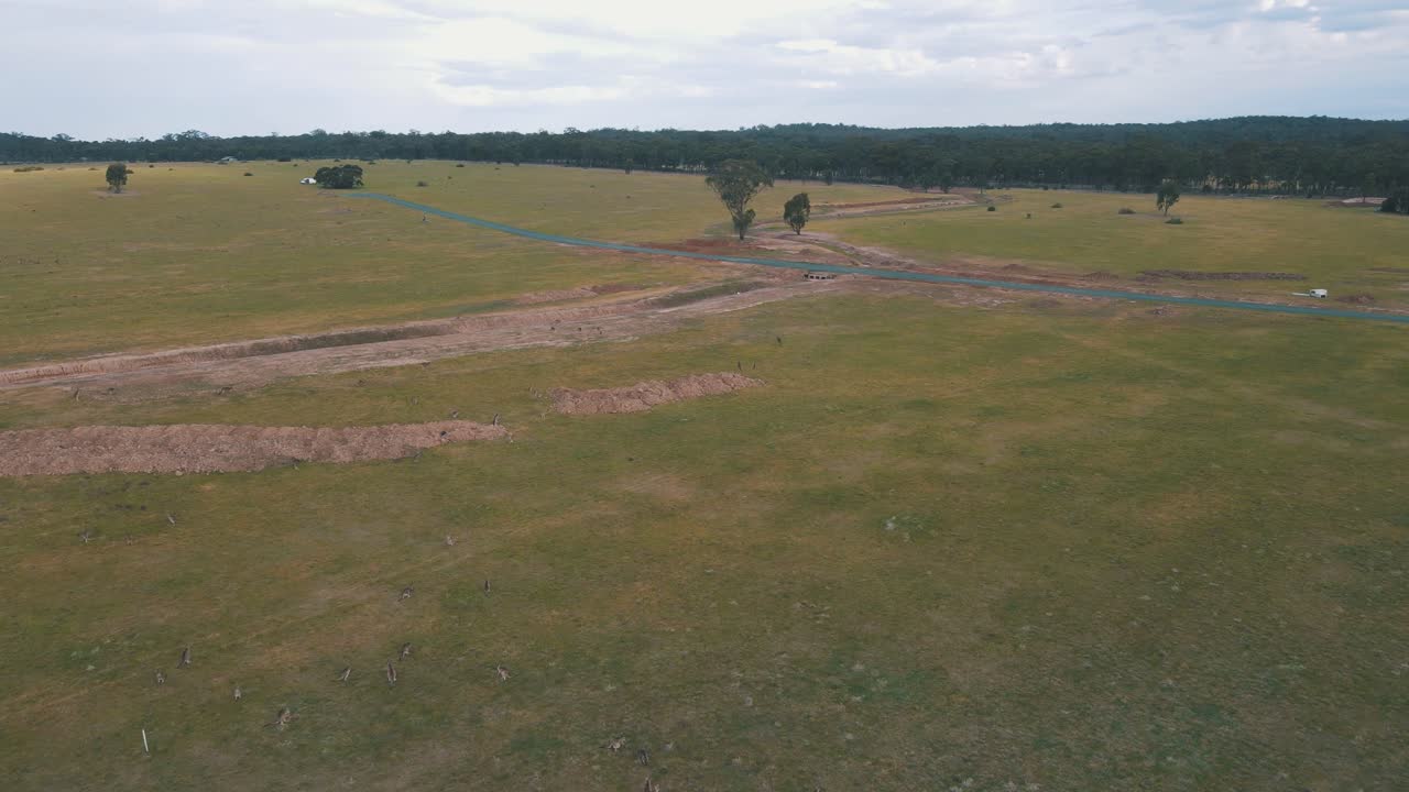 Drone aerial rotating over an empty field in Australia full of Kangaroos
