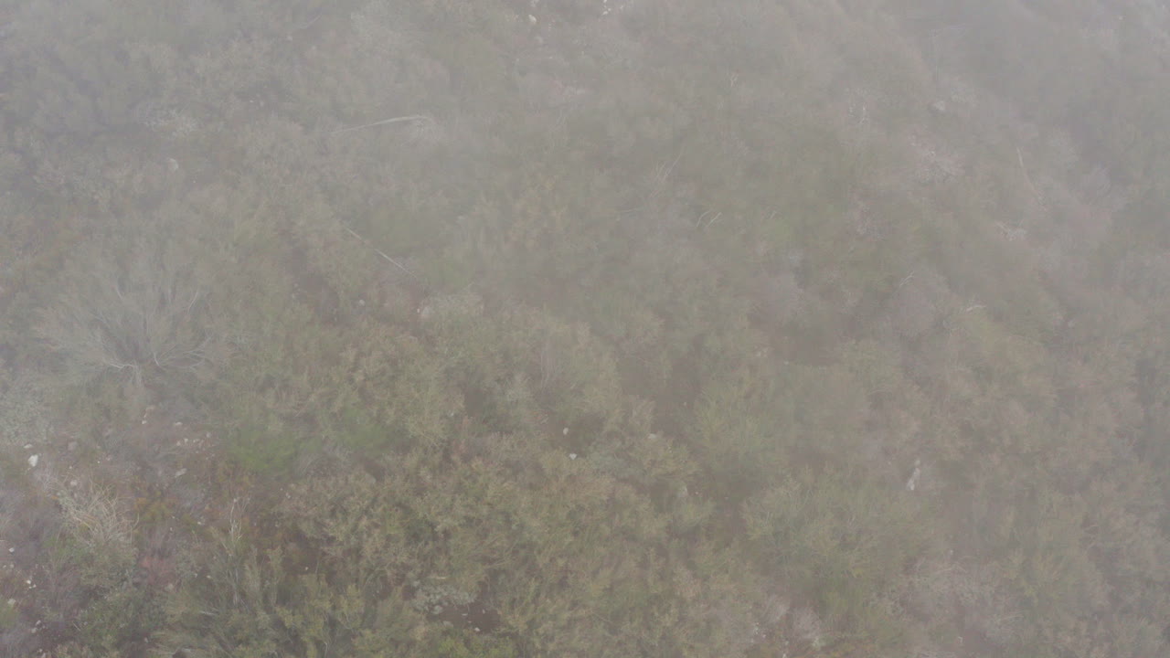 무인 항공기가 산 경사면의 덤불에 천천히 닫힙니다.