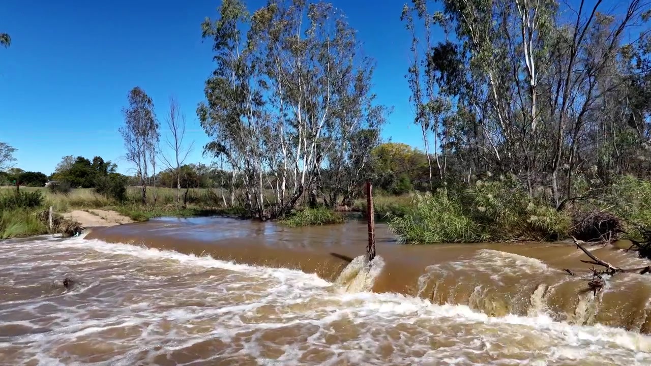 L'acqua scorre impetuosa su un attraversamento fluviale in cemento tra gli alberi, contenuto ambientale.