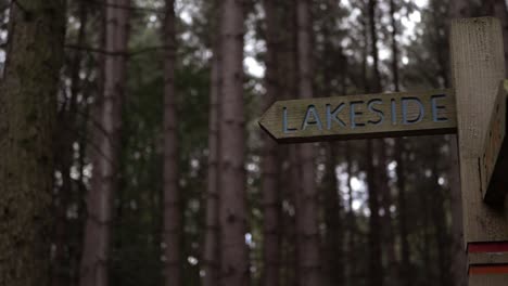 cartel rústico de madera en el bosque que apunta a la toma amplia junto al lago