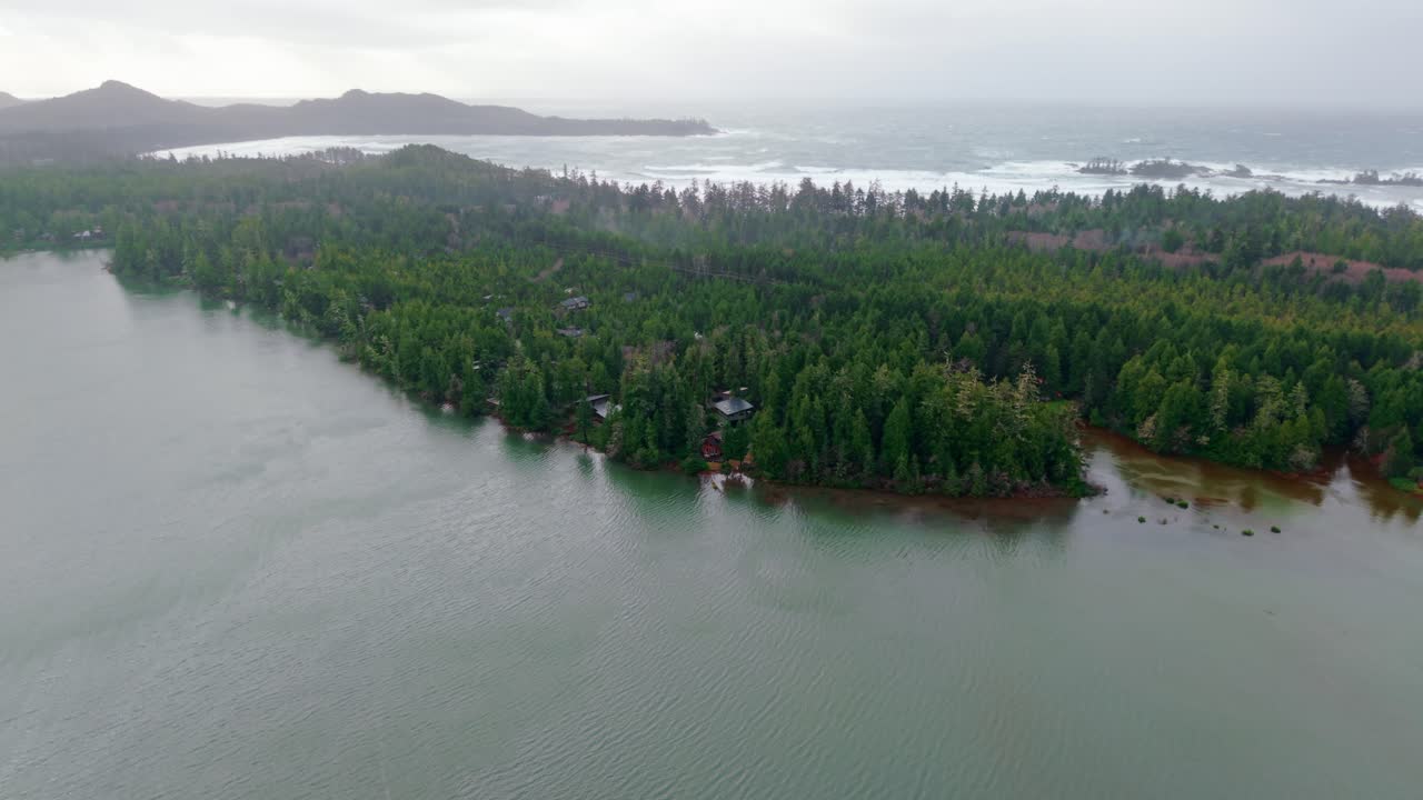 tomada de drone de tofino en la isla de vancouver que muestra colores de otoño, costa escarpada y olas del océano en una vista aérea panorámica.