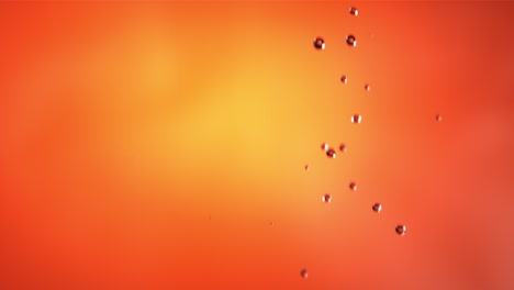 vuelo de toronja en fondo naranja en cámara lenta