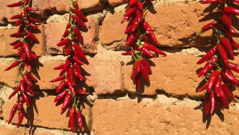 Chiles-Rojos-Picantes.-La-Comida-Picante.-Ingredientes-Organicos