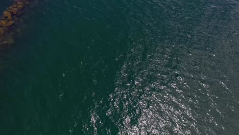 Slow-establishing-shot-of-Lake-Lanier-in-Georgia