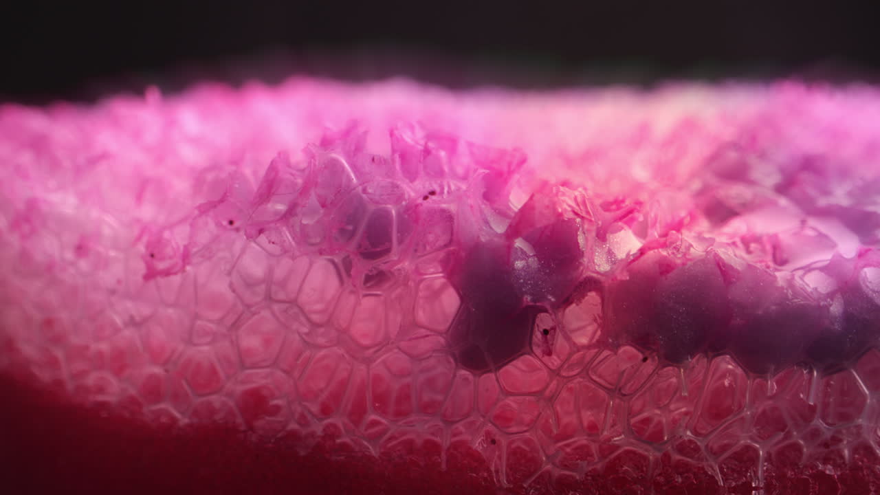 Close-up view of a dyed sponge