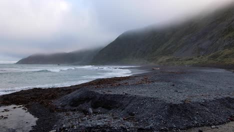 a moody misty foggy south coast at red rocks in wellington, new zealand aotearoa