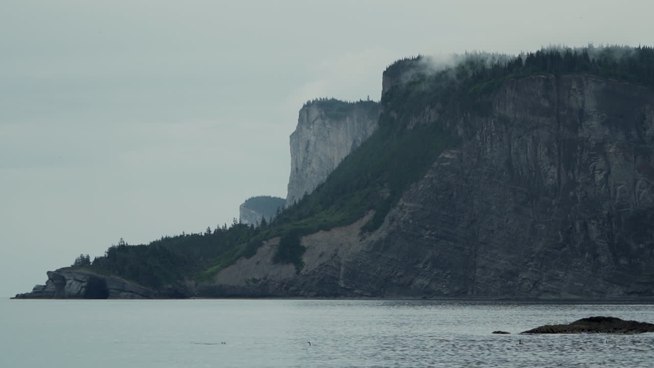 Gorgeous Foggy Morning Overlooking an Epic Costal, Tree Layered Cliffside at Forillon National Park, Canada with Calm Gulf of St Lawerence Waters in the Foreground