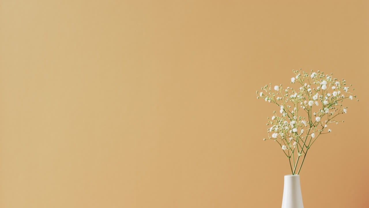 노란색 배경에 복사 공간과 함께 색 꽃병에  꽃의 비디오