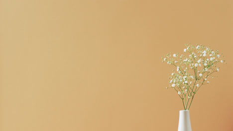 video of white flowers in white vase with copy space on yellow background