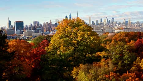 fall foliage in front of the new york city skyline