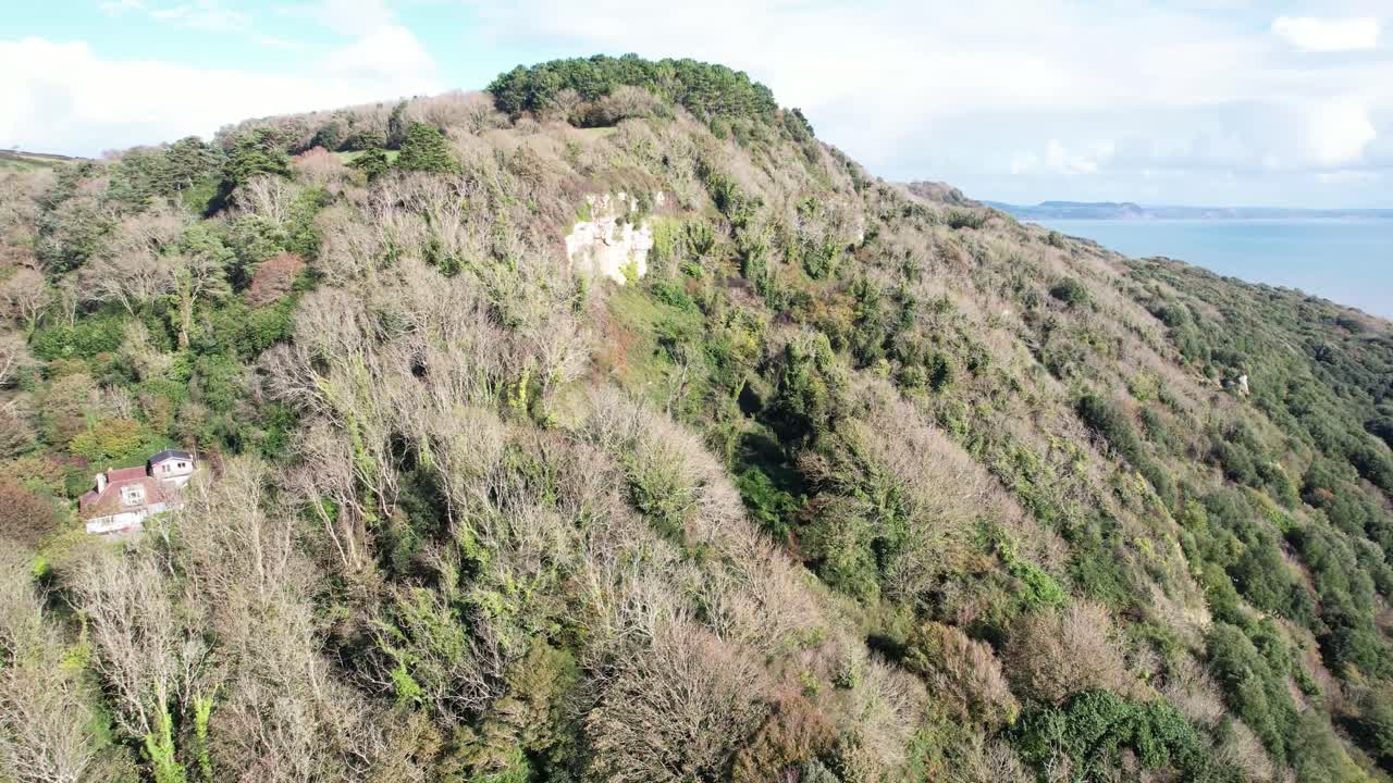 Scenic aerial view of hills covered in trees with coastal horizon in the background