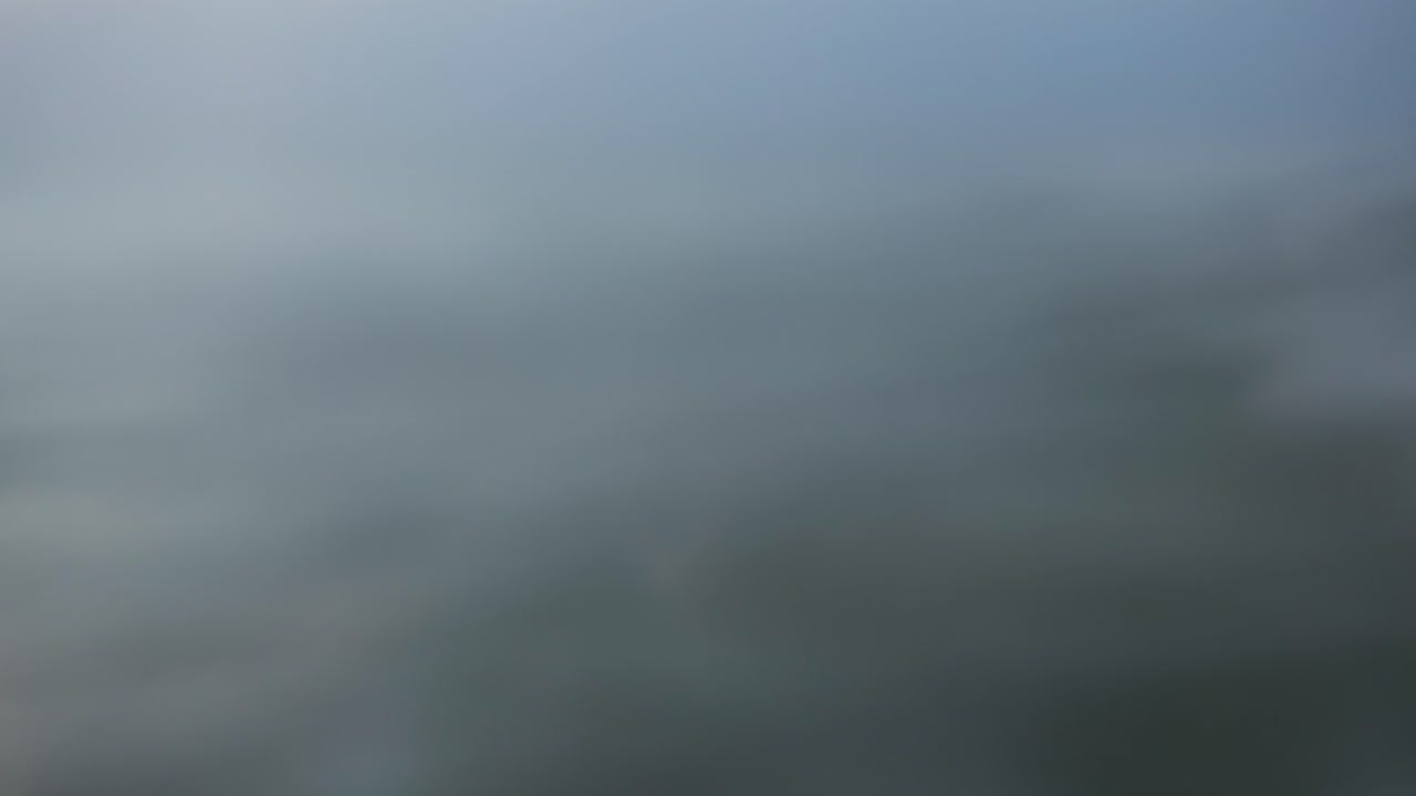 흐릿한 안개 시야