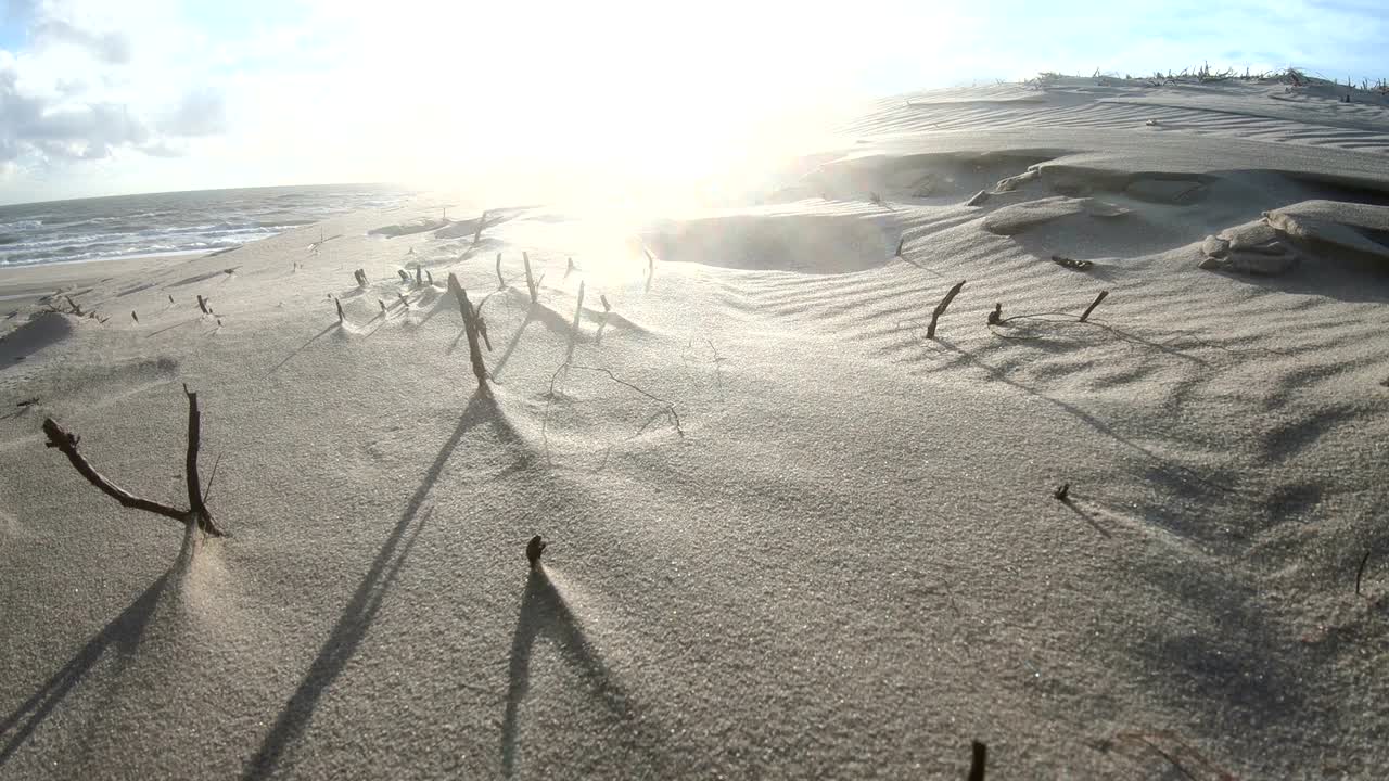 dunas de arena con hierba de dunas en la tormenta del mar del norte, dunas de senderismo, protección de diques, sondervig, jutlandia, dinamarca, 4k