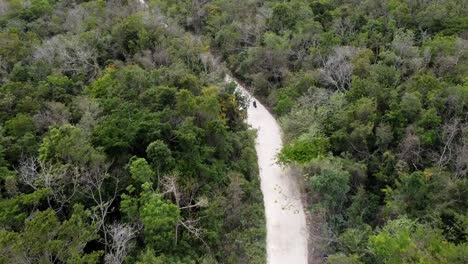 Aerial-shot-shot-of-motorbike-driving-in-the-dirt-road-surrounded-by-trees-in-Akumal-Mexico