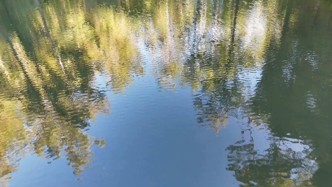 Drone captures tranquil river reflections of trees and sky, showcasing calm water and natural beauty in soft lighting