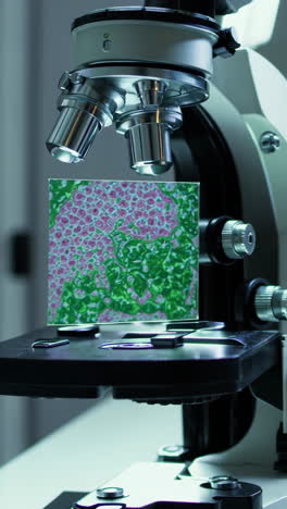 microscope image of a tissue sample
