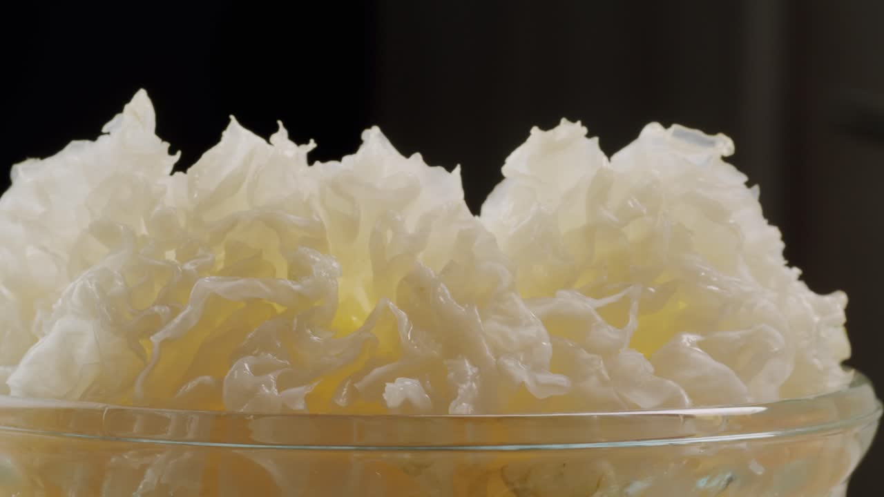 Tremella fermented salted Jamur salju or snow fungus, white colored fungi for food and medicine, popular in China and also Chinese cuisine.
