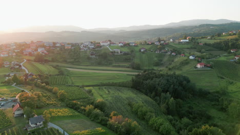 spin drone flying over the vineyards with a sunflair over the small village of radovica, metlika, slovenia