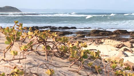 a view of glen gariff beach