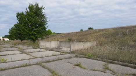 Various-grasses-growing-through-cement-in-an-old-racetrack