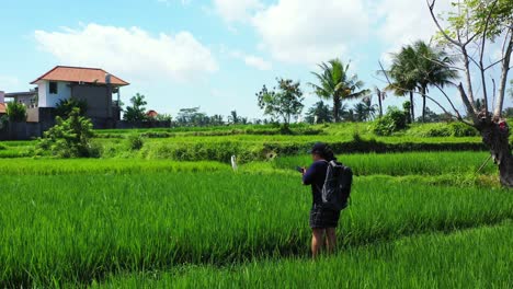 Mujer-Turista-Asiática-Con-Mochila-Tomando-Fotografías-De-Campos-De-Arroz-Verdes-Rodeados-De-Casas-De-Pueblo-En-Indonesia