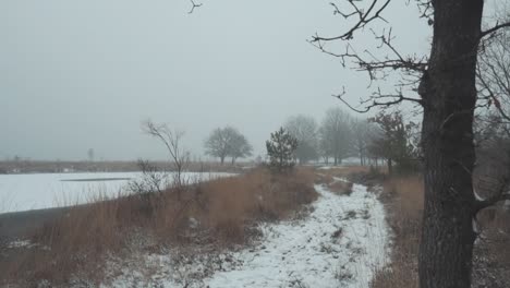 snowy winter path through a foggy landscape
