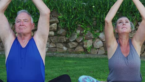 Pareja-Mayor-Caucásica-Practicando-Yoga-Juntos-En-El-Jardín