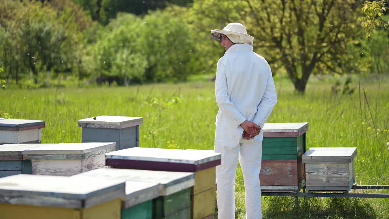 Male apiarist on a bee farm. Beekeeper in white suit standing among wooden beehives on green nature background. Back view.