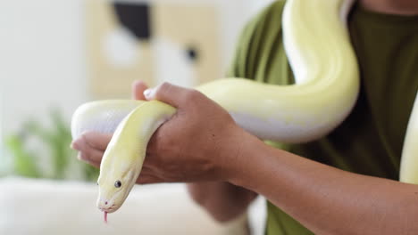 man holding snake indoors