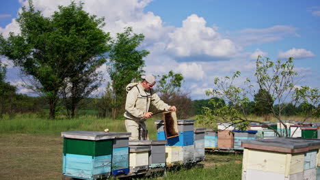 beekeeper cleans a honey frame off bees with a big brush. little rural bee farm in the nature backdrop.