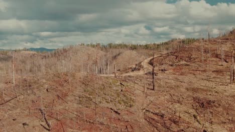 bosque muerto aéreo de 4k en colinas drone dolly en