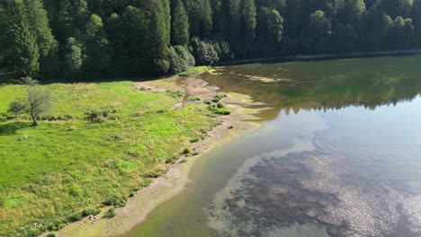 Malerische-Naturlandschaft-Am-Seitlichen-Strand,-Seeufer-Inmitten-Eines-Grünen-Kiefernstamms.-Wunderschöne-Tages--Und-Sommerlandschaft-Der-Schweiz,-Europa,-Reiseziel-Zum-Wandern-Und-Camping,-Campingplatz