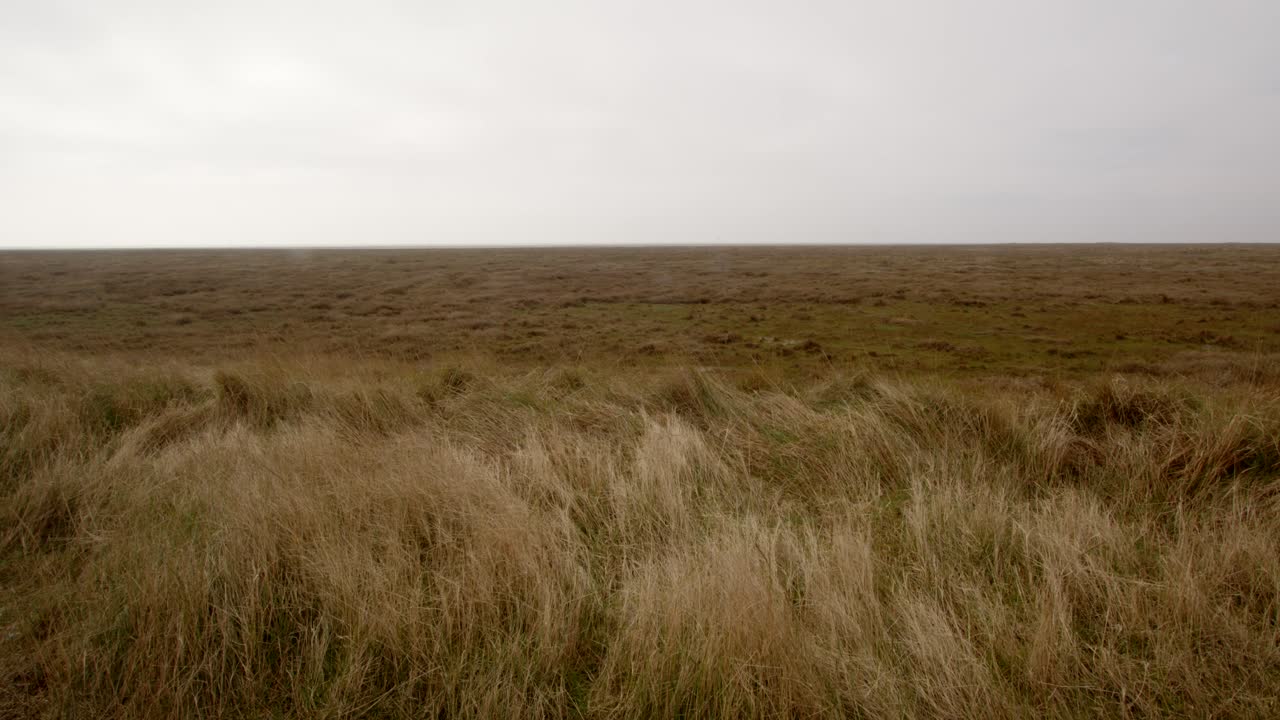 природный заповедник в гибралтарском пункте с общим видом на природный заповедник 5 из 7