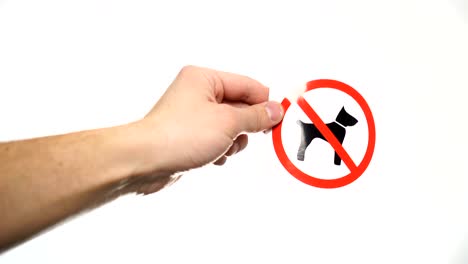 mano que muestra el cartel de advertencia "no perros" aislado en blanco