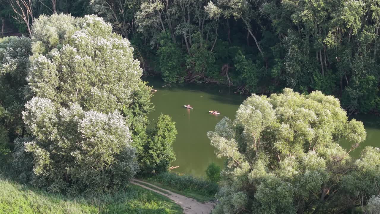 Several people are paddleboarding on a calm, green river surrounded by dense summer forest. The scene, viewed from above, captures the harmony between outdoor adventure and untouched nature