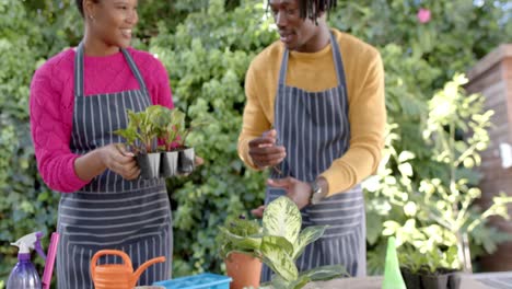 Glückliches-Afroamerikanisches-Paar-In-Schürzen,-Das-Im-Sonnigen-Garten-Pflanzt,-Zeitlupe