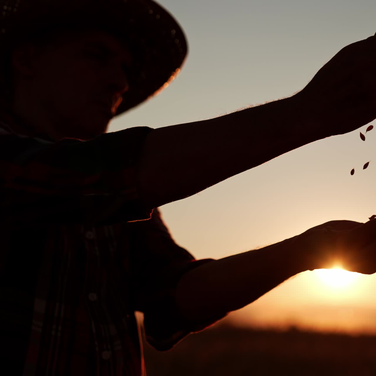 Silhouette of a man in hat standing in the field at sunset. Farmer pours the grain in hands. Low angle view